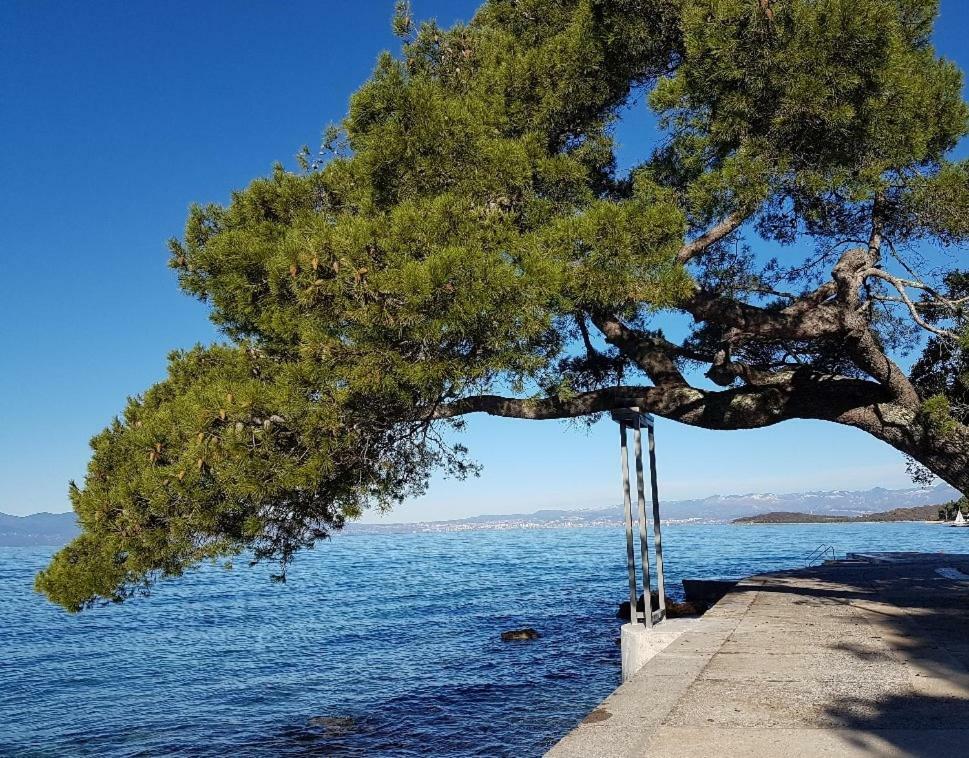 Apartments Mario Malinska Εξωτερικό φωτογραφία